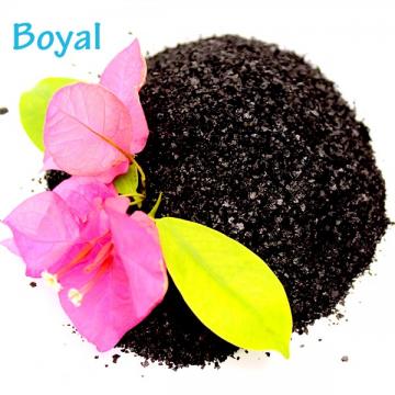 Seaweed extract organic fertilizer for plant